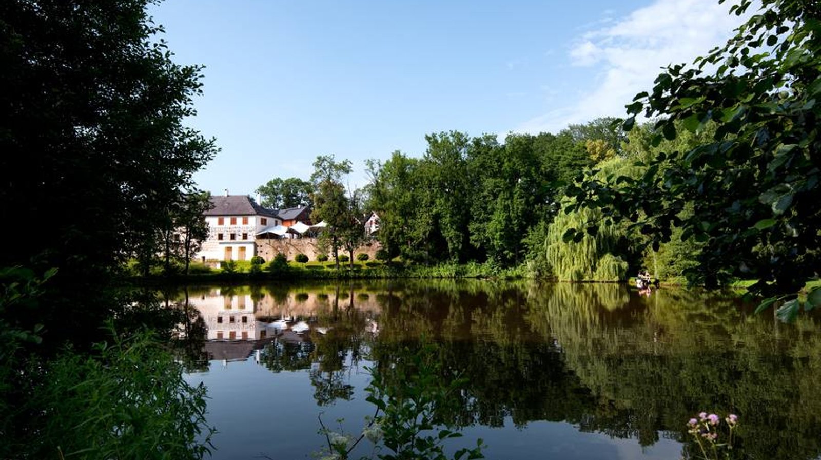 Staw w Chateau Orlice