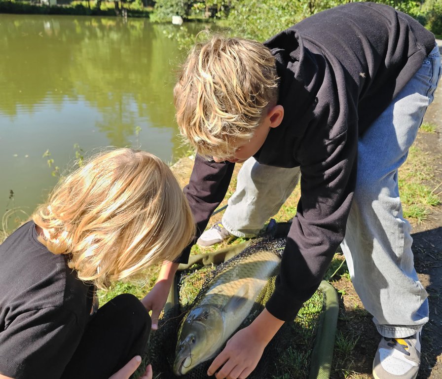 Rybník u Chateau Orlice
